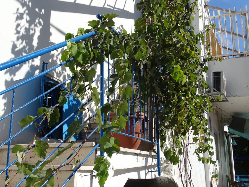 Juha'S Guesthouse - Zarqa Bay Jisr ez Zarqa Экстерьер фото